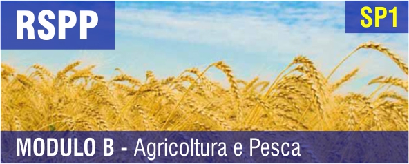 Corso di Formazione per Responsabile del Servizio Prevenzione e Protezione (R.S.P.P.) - Agricoltura e Pesca